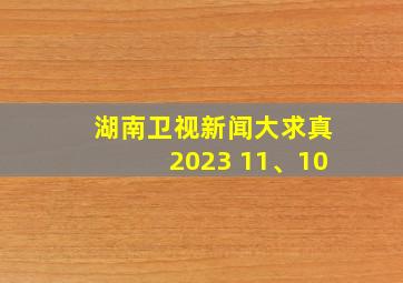 湖南卫视新闻大求真2023 11、10